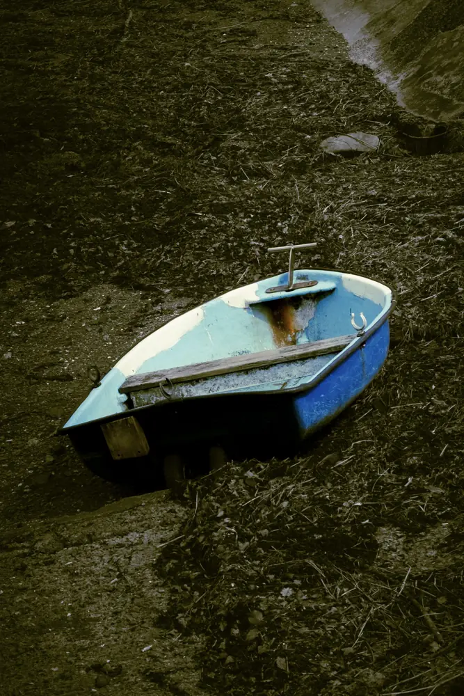 Photographie 10