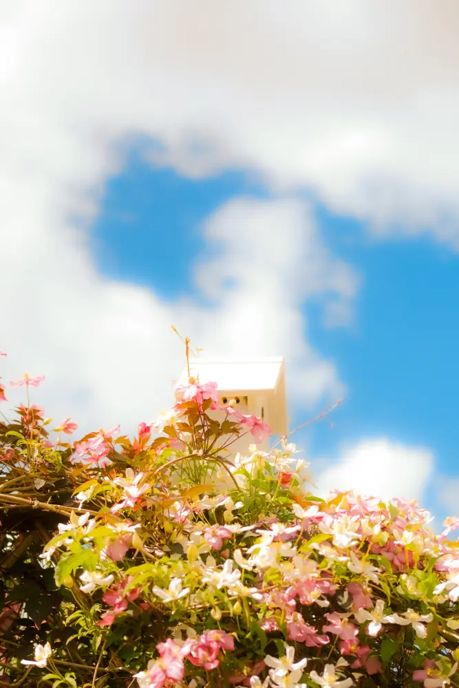 Photographie 11