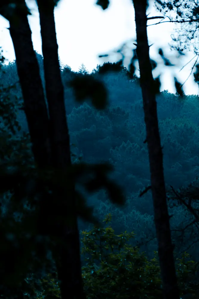 Photographie 13